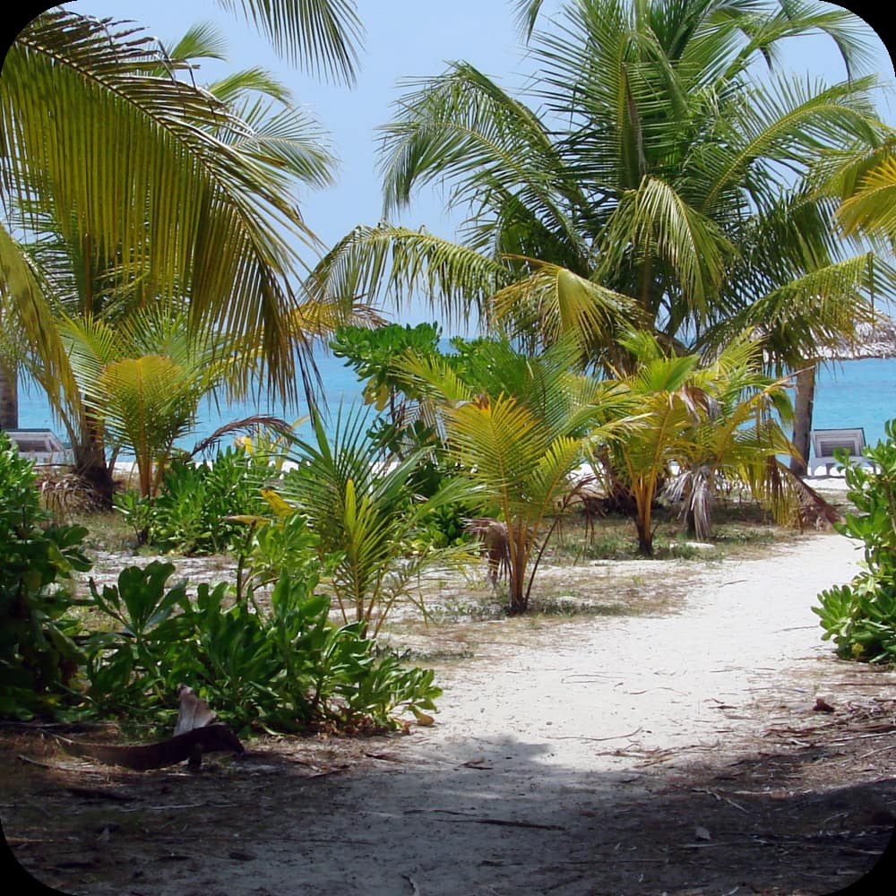 holiday Images